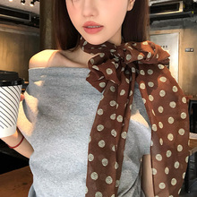 棕色波点丝巾印花高级百搭配饰系脖女2025年新款发带绑发长条围巾