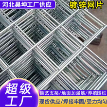 镀锌铁丝电焊网片小孔养殖围栏钢丝网养鸡狗笼加粗建筑铁网片