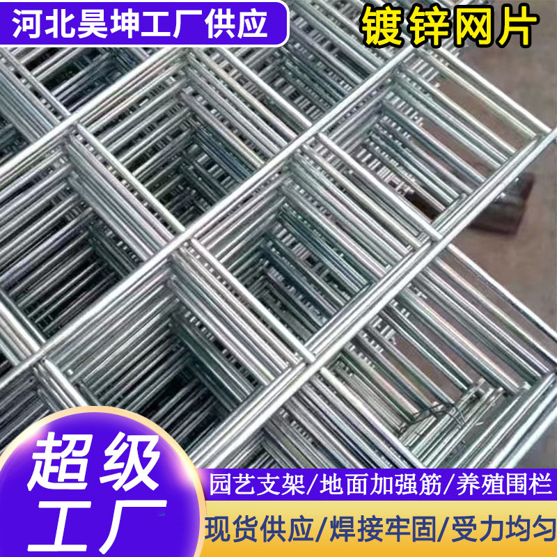 镀锌铁丝电焊网片小孔养殖围栏钢丝网养鸡狗笼加粗建筑铁网片