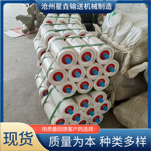 Low Noise Polymer Roller Anti-Aging Polymer Polyethylene Roller Chemical Mining Plastic Nylon Roller