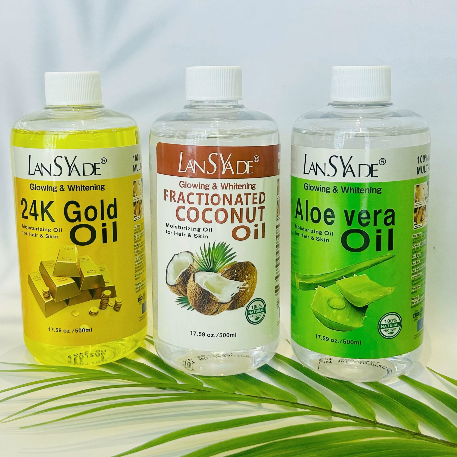 微信图片_20250414142536