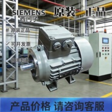 �����ӵ��1LE1002-0DB32-2KA4Z0.75KW4PB14�������δ�綯��