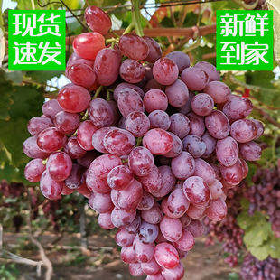 ���r�o�����������ЋDˮ�������Fժ����˂����t��һ��һ�����l