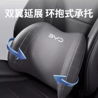 Plus, Dolphin cushion – Headrest