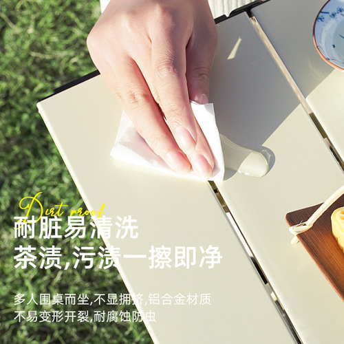 Portable Camping Table and Chairs, Folding Egg Chair, Outdoor Steel Chair, Foldable Outdoor Table, Camping Gear