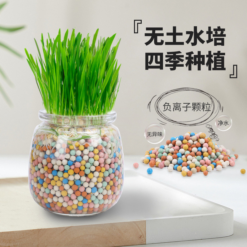 Nueva bola de pelo de hierba de gato de iones negativos Aperitivos para gatos Planta en maceta hidropónica sin suelo Semillas de trigo Mascotas Comida mixta húmeda al por mayor