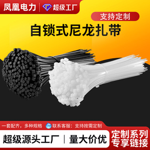 Customized Self-Locking Nylon Cable Ties Black and White Length Width 3*100/4*200/5*300