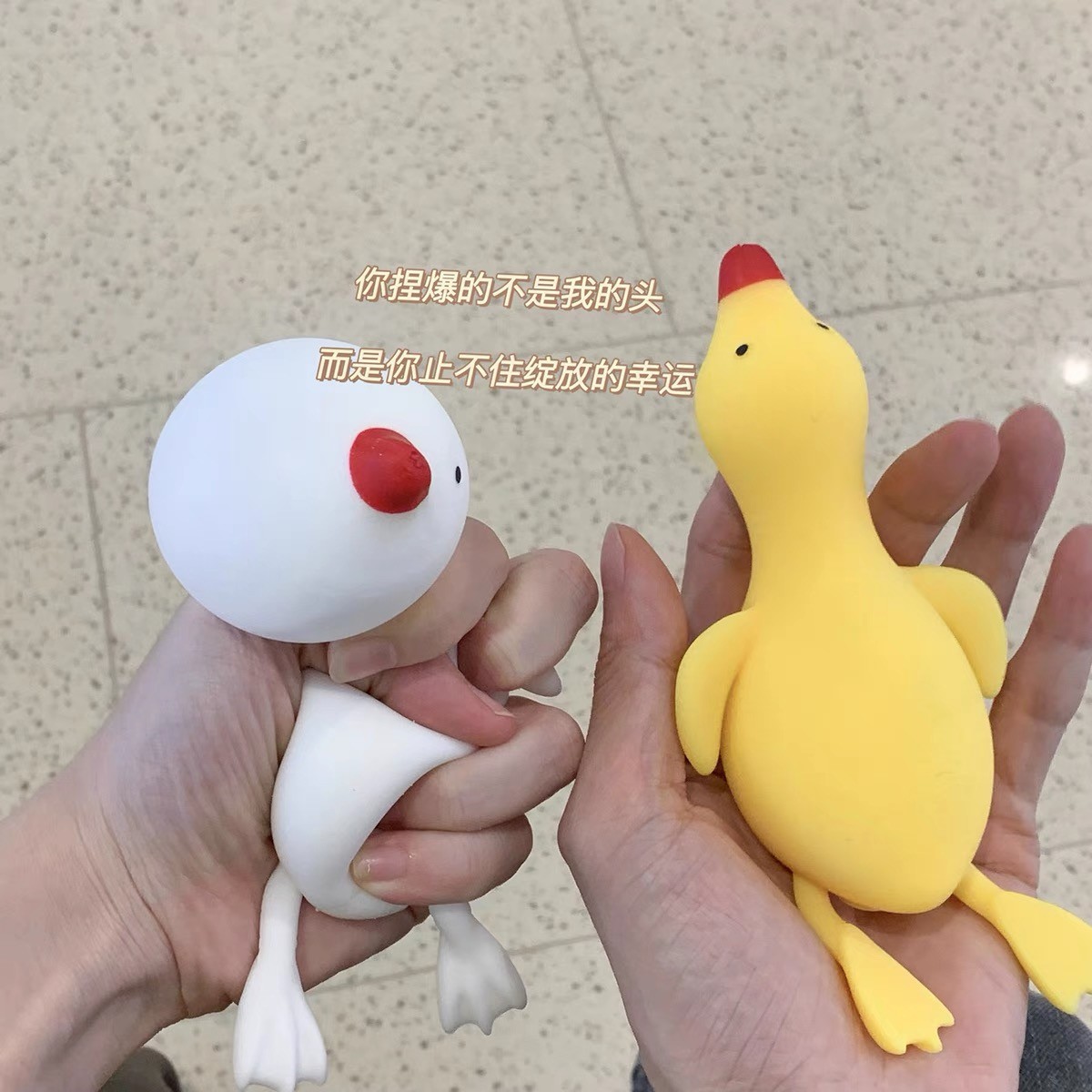 O1CN01o1vH881s5ydoifJlJ_!!2373