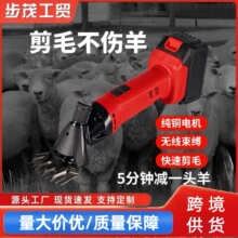 �羳����ë�������ë���ӳ�늿�๦�܄�����ë�C�S�����l