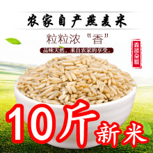 新货燕麦米5斤/10斤粥粗粮五谷杂粮米农家自产黑龙江特产燕麦仁燕