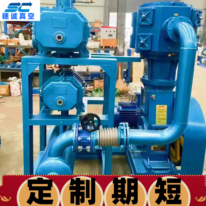 耐腐蚀 无油不锈钢真空机组 低噪音 维修方便 穗诚21年经验