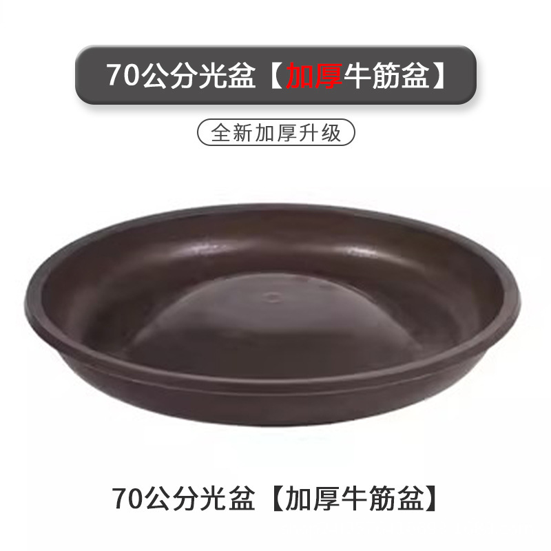 鶏鴨ガチョウの食槽を厚くして、鶏の食槽に鶏の食槽を与えます。|undefined