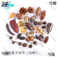 ɻɹMb׃@DIYֹϰɹɻ[յ