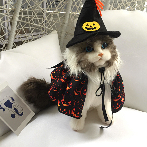 ハロウィーンのおかしなカボチャのクモのパーティーのペットの帽子の頭飾りのペットのマフラーの法師は祝日のプレゼントを装います。|undefined