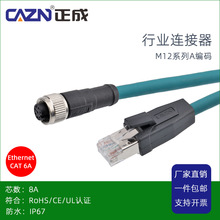 正成M12连接器A编码8芯公母头转RJ45CAT5E超五类黑绿蓝线Ethernet
