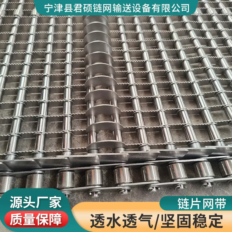 304不锈钢链片式网带清洗机锯齿形眼镜网带刹车片清洗件链片网带