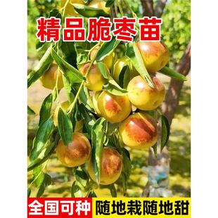 ��������ش󶬗��޽ӹ����ش��ϱ����NֲͥԺ���Ǘ������������