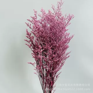 【加工定制】永生吸色情人草干花真花花束手工DIY材料跨境批发