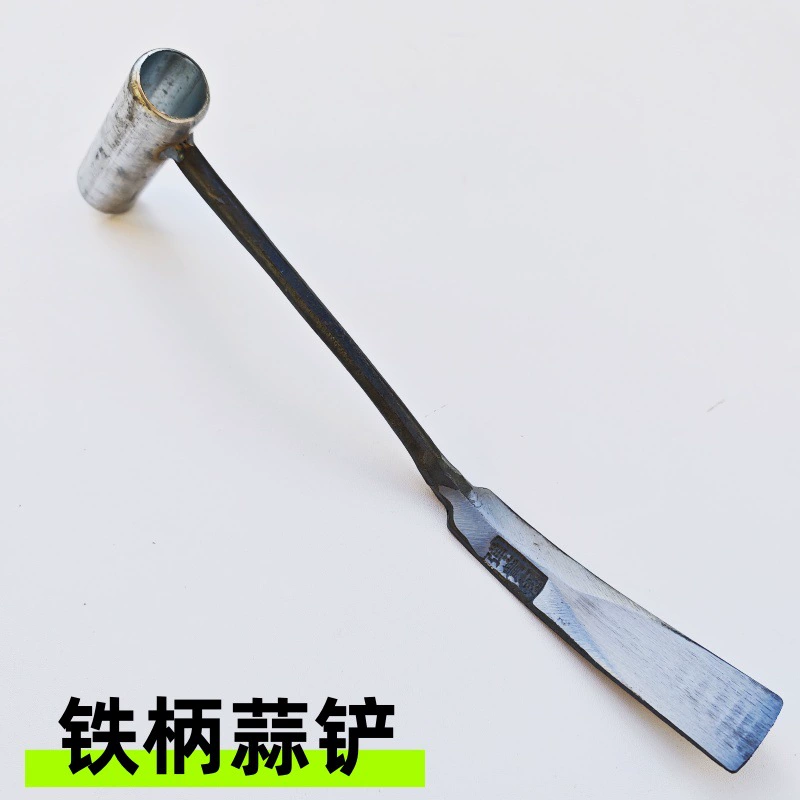 Копайте дикие овощи, копайте чеснок, лопата для садоводства