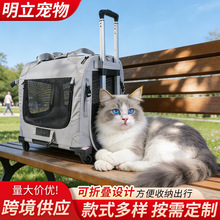 �羳��Ʒ��݆�������U��؈�������y������͸����ۯB܇�d�����