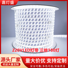 Led高圧220vランプ帯2835斜め三列ハイライト屋外工事点灯防水家庭用天井卸売り