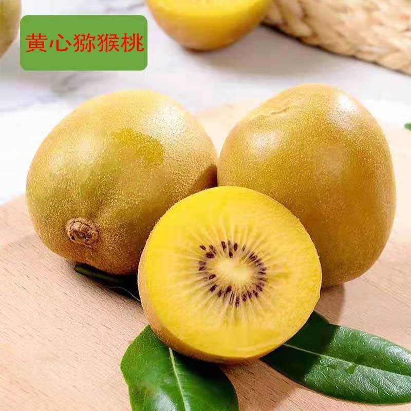 Kiwi Season fresh Sichuan Province Yellow Heart yellow gold fruit Kiwi 50-130g Specifications Walnut