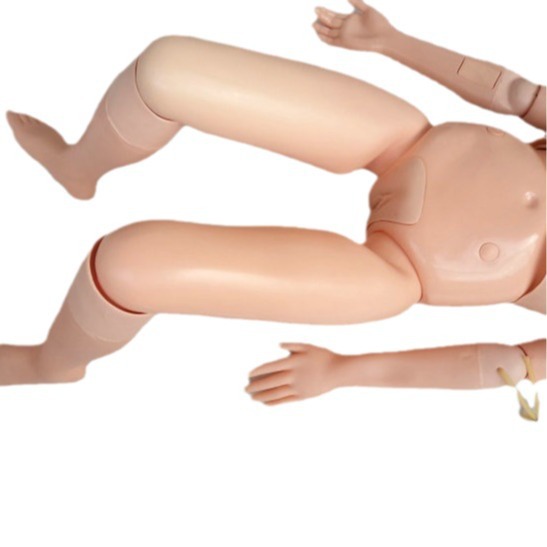 ��Ƥ��� Ů�Ի�������ģ�� ҽѧ����ģ���˻�ʿʵϰģ�� ����