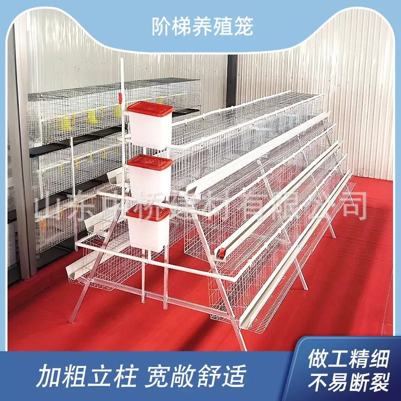 全自动A型阶梯养鸡养殖设备背负式喂料机捡蛋机H型多层阶梯蛋鸡笼
