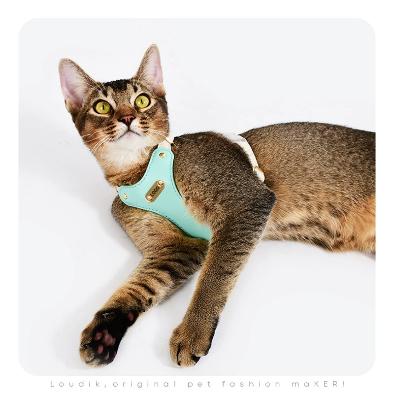 П wholesale原创皮质狗狗猫咪胸背带牵引绳宠物用品中小型犬跨境工厂Dego