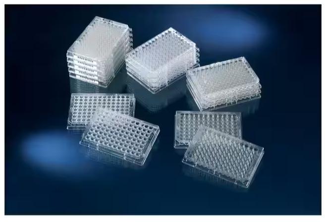 赛默飞NUNC 156545 微孔板 聚苯乙烯 细胞培养 已灭菌 无盖