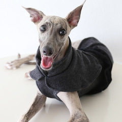 Petstyle 羊毛绒风衣斗篷 意大利小灵缇惠比特宠物衣服跨境亚马逊