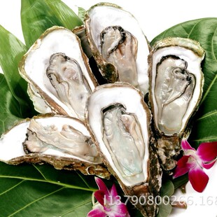 ���rһվʽ���rˮ�a��Ƶ�����뚤���ĵϠ��Ϡ�S��ֱ�N���l