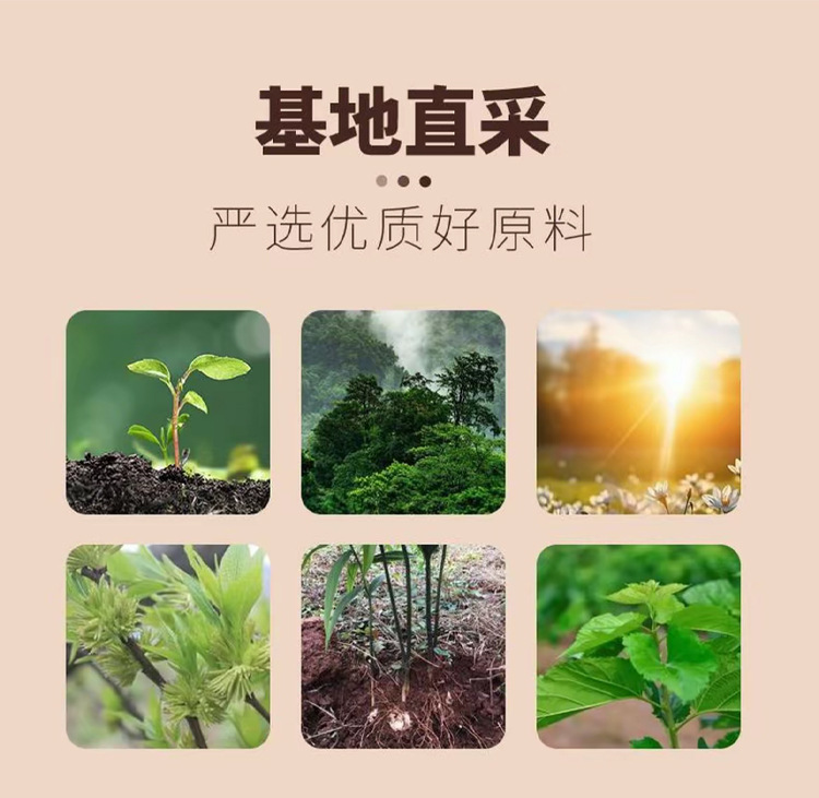 Kudzu Polygonatum Eucommia Male Flower Tea Ge Gen Huang Jing Du Zhong Xiong Hua Cha 100g Natural Wellness Herbal Blend overview
