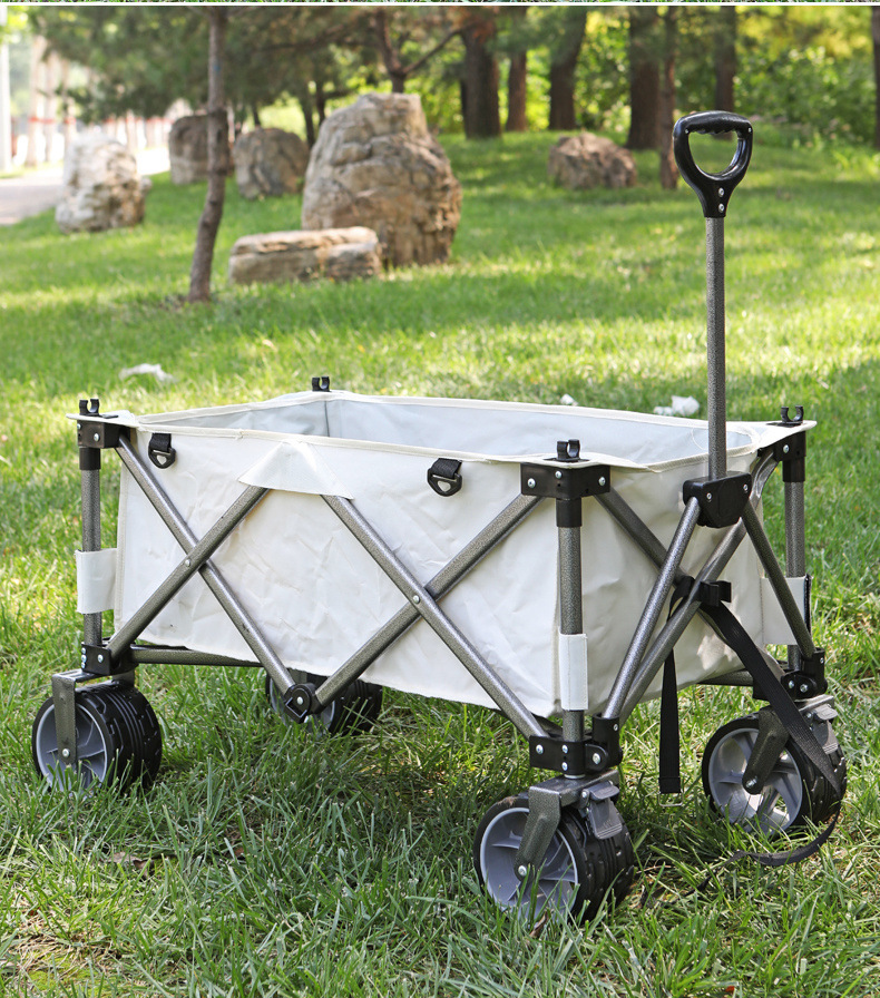 501a3eeb-c48c-4a92-936b-86621d214eab.jpe