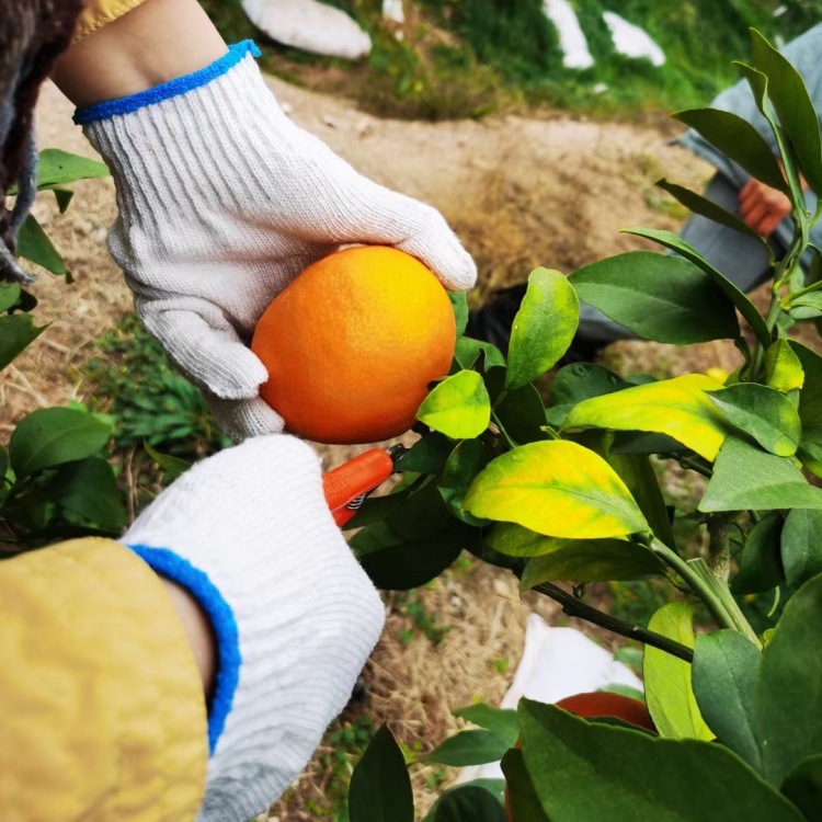 IMG_1336(20231216-142317)