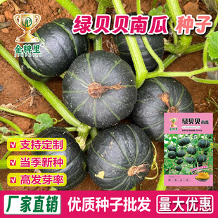 ���l�Gؐؐ�ϹϷN�Ӵ����ļ��G�t��ϰ���ζ��Ŵ������С�ϹϷN��