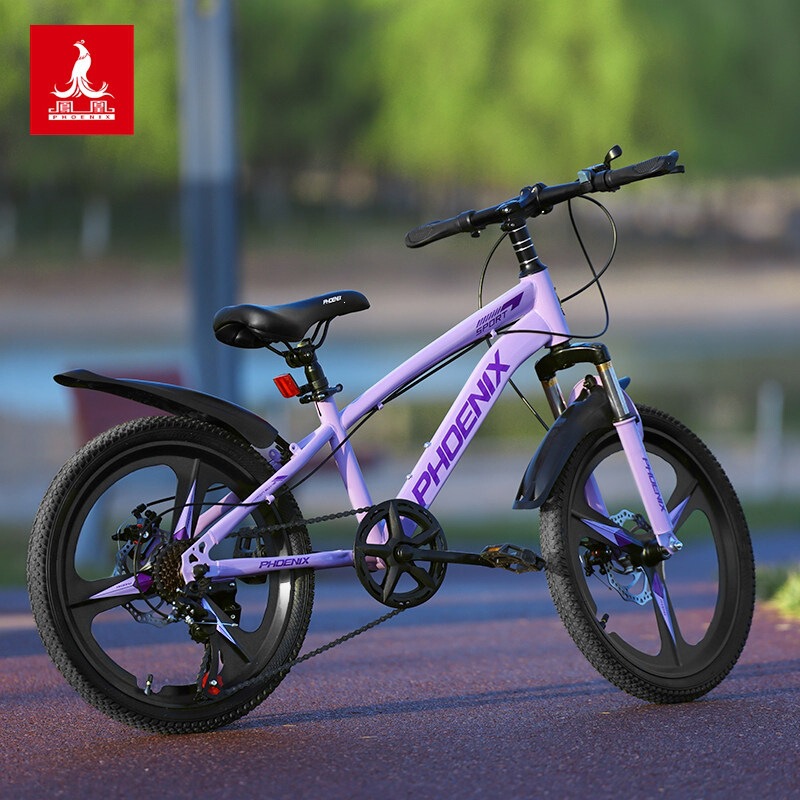 Phoenix children's bicycle for girls aged 6 to 12, mountain bike with disc brakes and gears, suitable for primary school students and older children