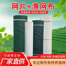 ���ƝO�W���Bֳ�W10Ŀ40Ŀ80Ŀ�������r�з���q���Ӈ��W�o�¾WƬ