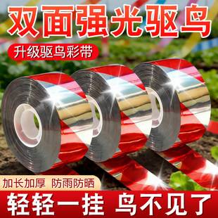 ���S���l�r�I��ɫ��B�����@�r�����B�s�B�ʎ� ���B������B�ʎ�