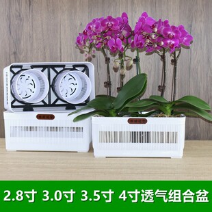 ͸������mƴ�M���û���ظ��������m����С���ԽM�ϔ[�趨ֲ�м�