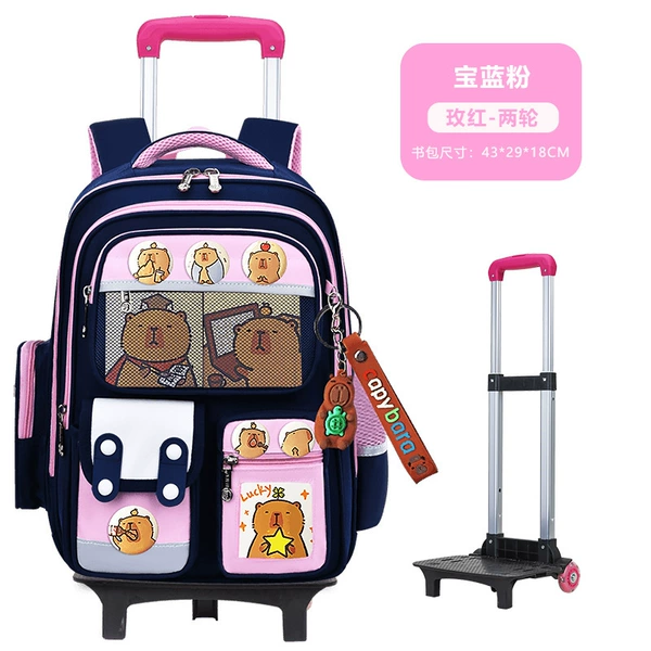 Backpack, suitcase on wheels