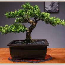 ߶_h͵ؾֲ҃ͥԺӭϘ͏dk