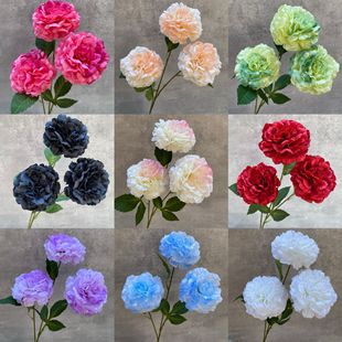 3^ʵĵ 滨u׃ɫܽĵc廨bżҾQ·