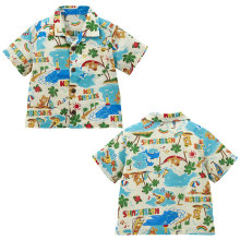 r ļŮͯͨܶȼLMӡrI