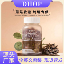 �羳�����ЙCĢ��ܛ�� ȫӢ�İ��b��������ע�������ɴ�Ģ��ܛ��