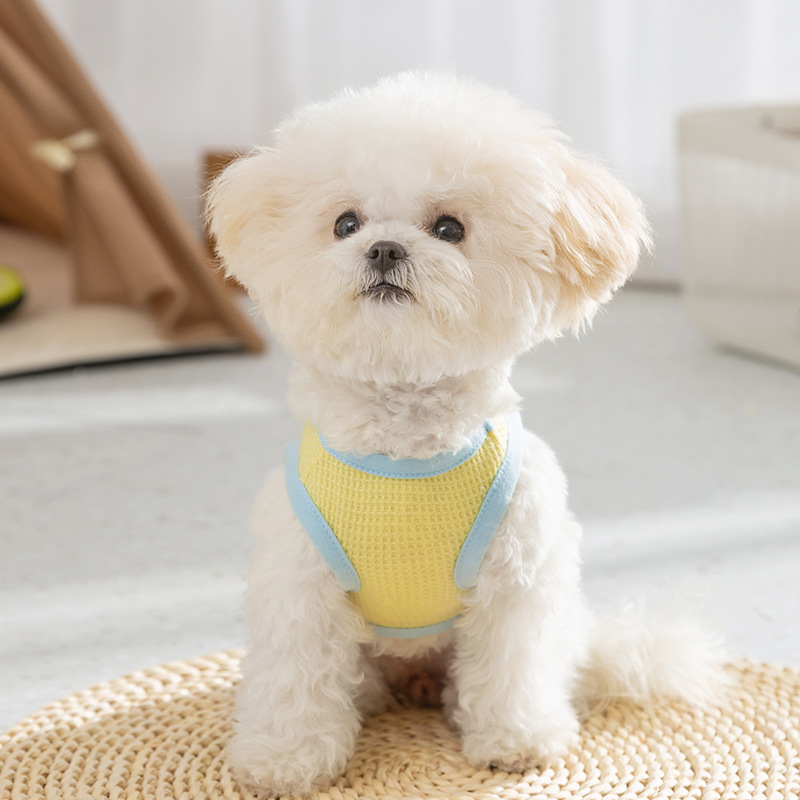 Perro de primavera y verano estilo delgado transpirable tridimensional pequeño bolsillo de mano pequeño gato chaleco de tracción Teddy Bichon ropa para perros