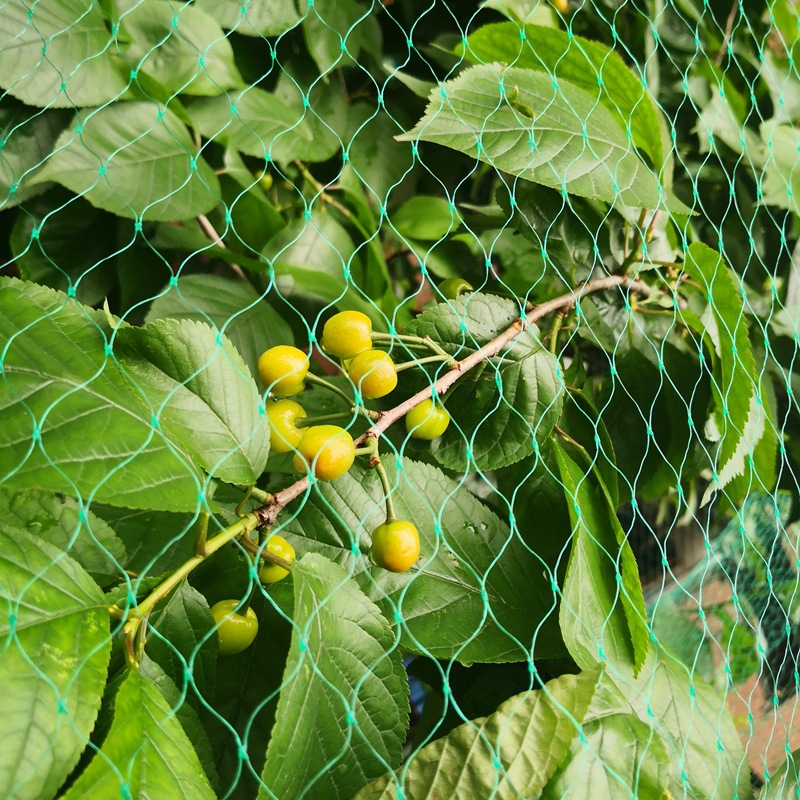 微信图片_20210405084815_副本