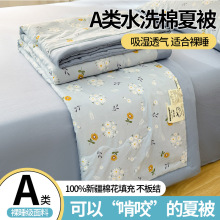 A类水洗棉新疆棉花夏被被子被芯夏季夏凉被空调被空调房专用夏日