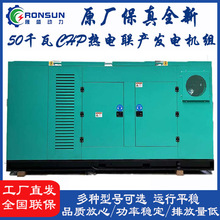 CHP����a��Ȼ��l늙C�M������� ȼ����Ȼ��l늙C50kw