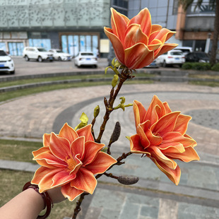 ��ɫ3D�ָз������m�� 3�^�ָ��������m �����L��Yܛ�b�ٻ����l